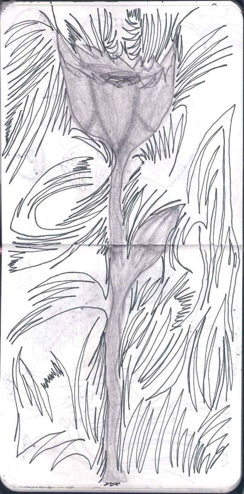 Рисунок 2 (широкий)