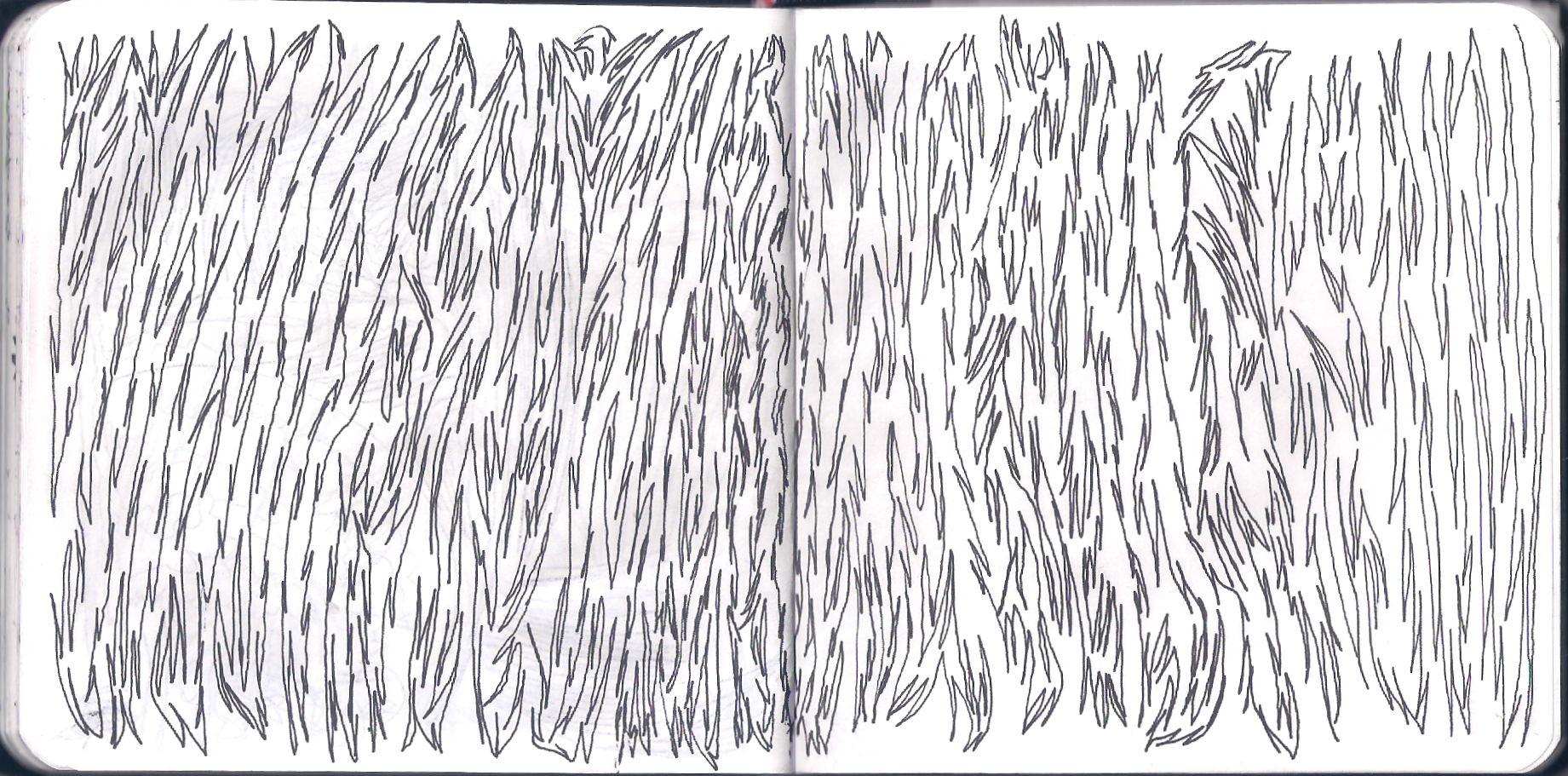 Рисунок 2 (широкий)