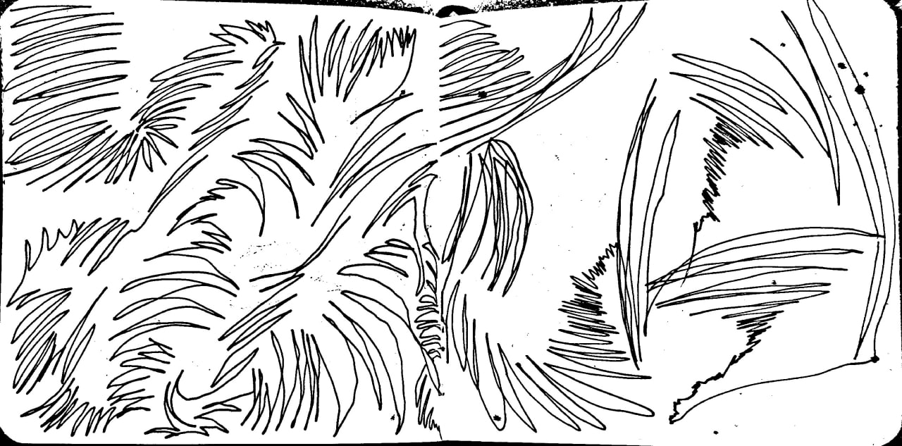 Рисунок 2 (широкий)