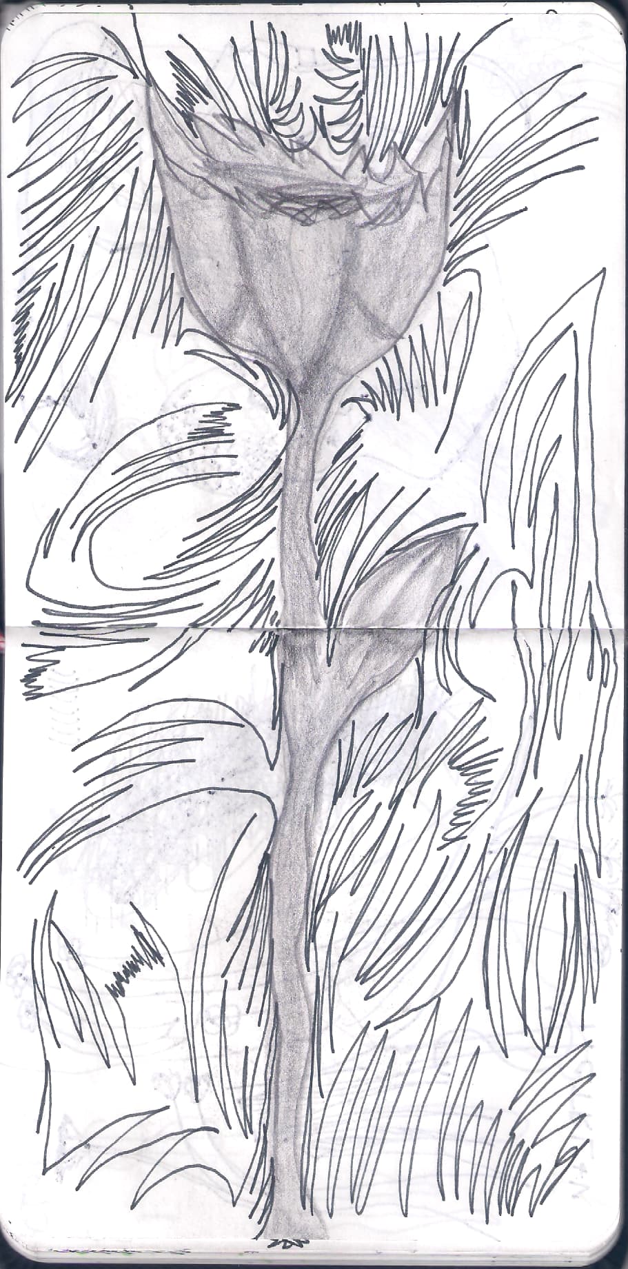 Рисунок 2 (широкий)